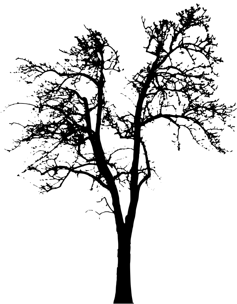 Kleingarten-Verein SW 83 e.V.